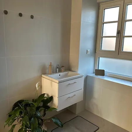 Apartment Brezovy Dvor