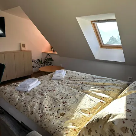 Brezovy Dvor Apartament