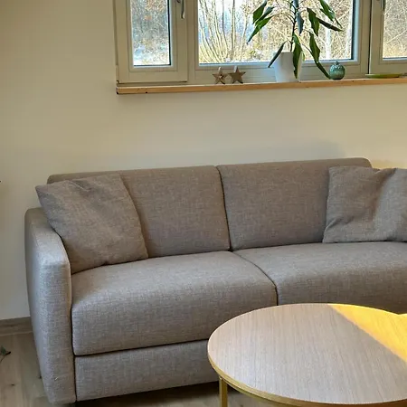 Apartmán Brezovy Dvor