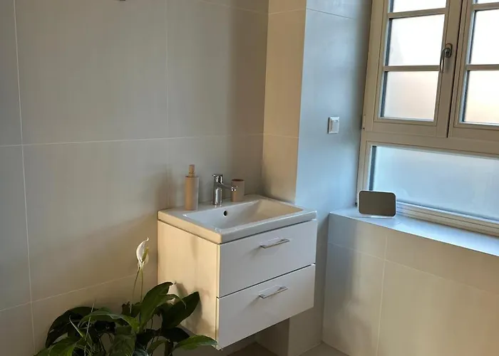 Apartment Brezovy Dvor