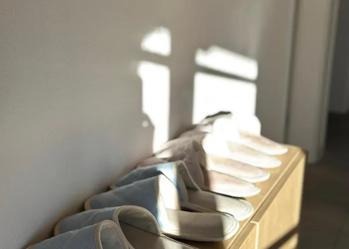 Brezovy Dvor * Svätý Anton