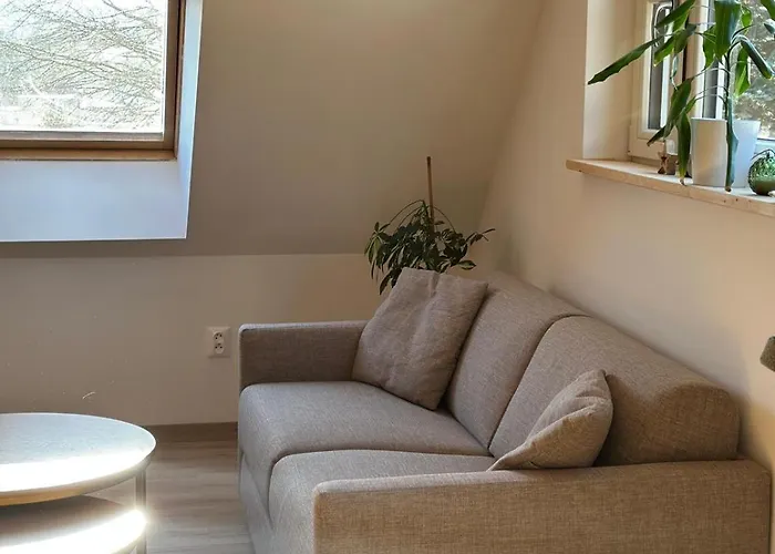 Apartment Brezovy Dvor